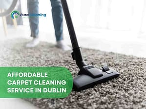 Will Professional Carpet Cleaning Remove Pet Odors in Dublin