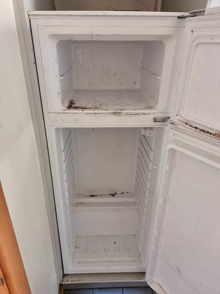 Before Fridge Cleaning